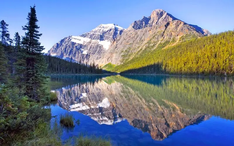 创意绿色智慧城市